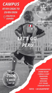 Soccer Assistance Peru